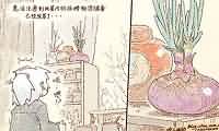 咬人生活随笔：空闲后的观叶植物感