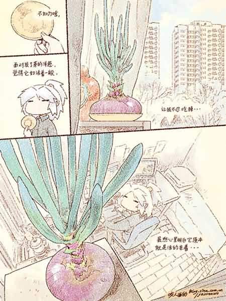 点击浏览大图