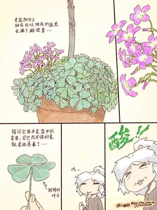 点击浏览大图