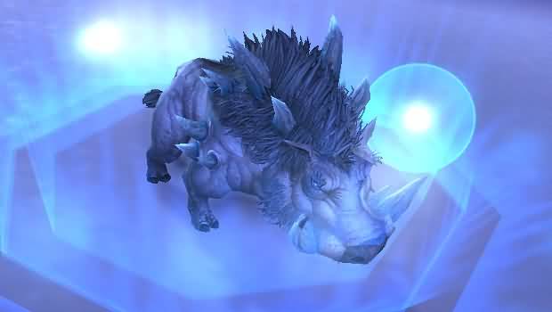 stonedpet-620x350.jpg