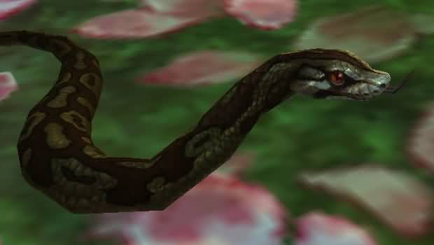 deathadderhatchling.jpg