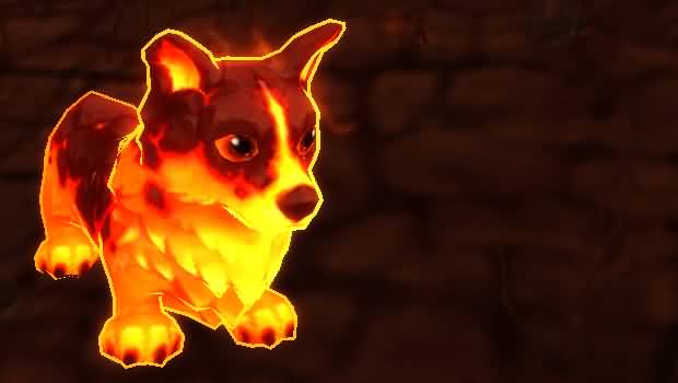 moltencorgi.jpg