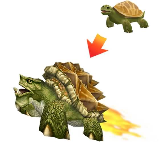 \