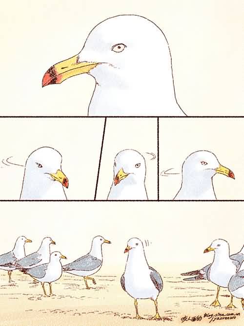 点击浏览大图