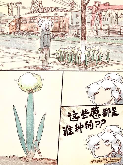 点击浏览大图