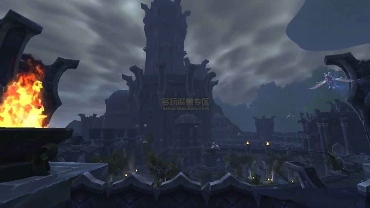 14171308.jpg