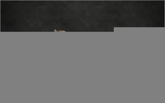 \