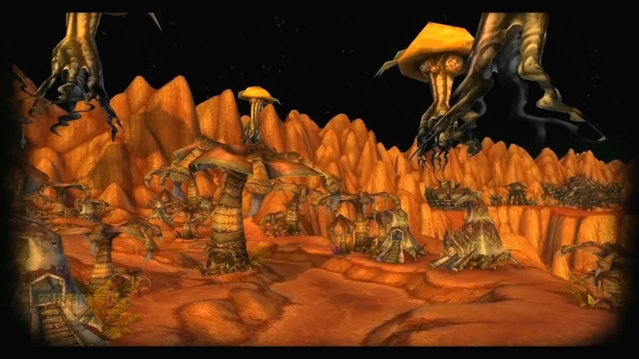 2131557.jpg