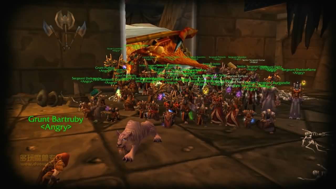 2131825.jpg