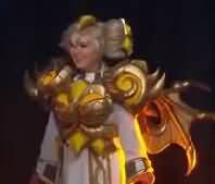 完整录像视频：暴雪嘉年华COSPLAY大赛