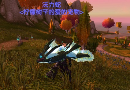 68  50.jpg